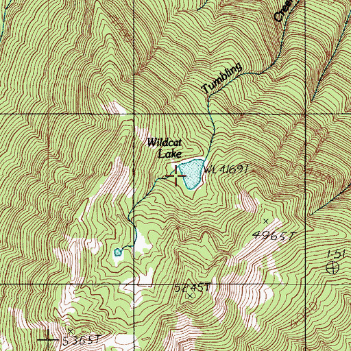 Topographic Map of Wildcat Lake, WA