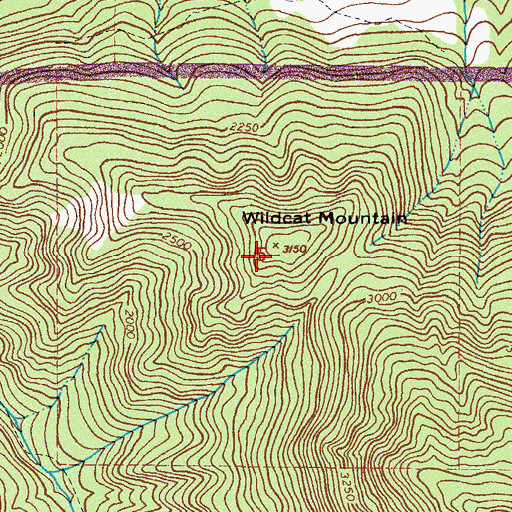 Topographic Map of Wildcat Mountain, WA