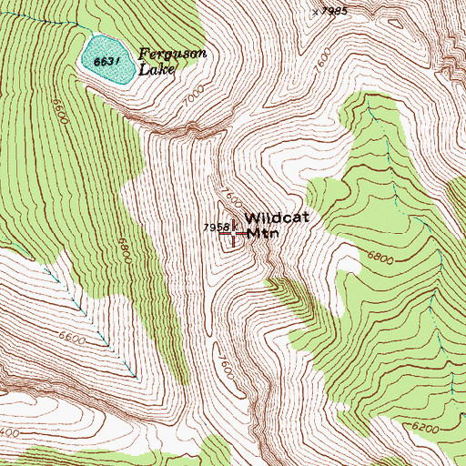 Topographic Map of Wildcat Mountain, WA