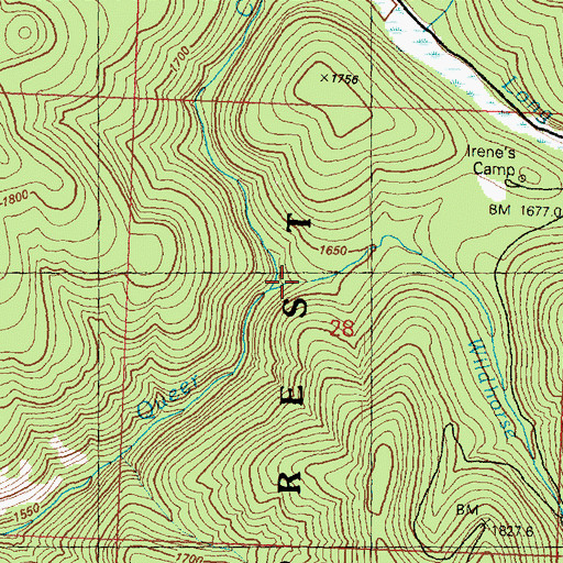 Topographic Map of Wildhorse Creek, WA