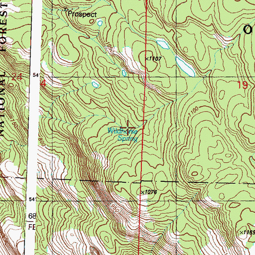 Topographic Map of Wildhorse Spring, WA