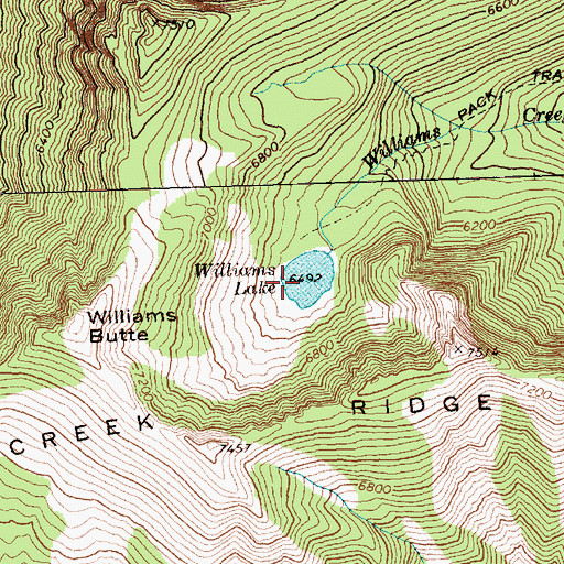 Topographic Map of Williams Lake, WA