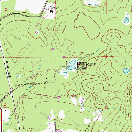 Topographic Map of Williams Lake, WA