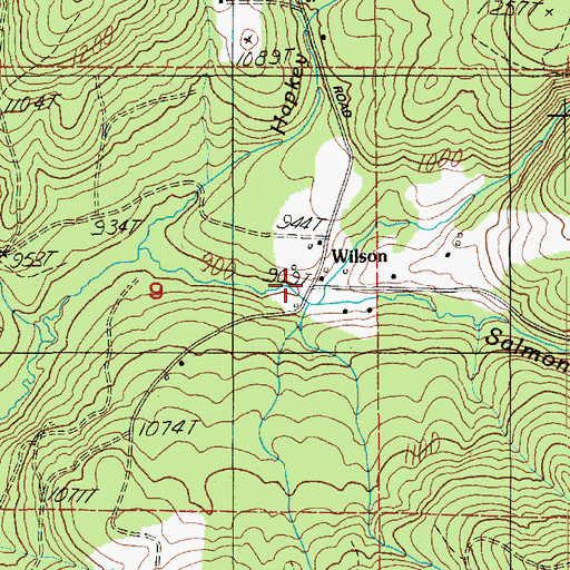 Topographic Map of Wilson, WA