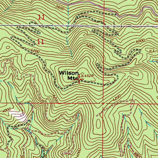 Topographic Map of Wilson Mountain, WA