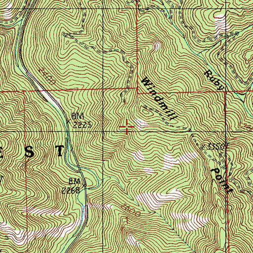 Topographic Map of Windmill Point, WA