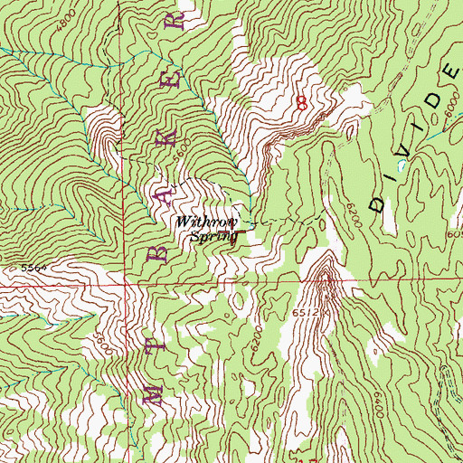 Topographic Map of Withrow Spring, WA