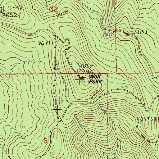 Topographic Map of Wolf Point, WA