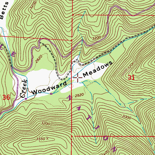 Topographic Map of Woodward Meadows, WA