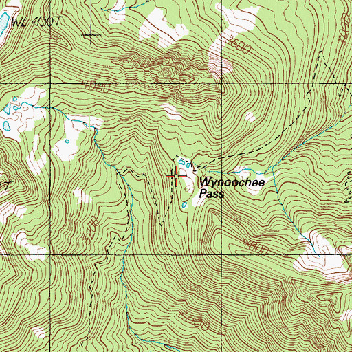 Topographic Map of Wynoochee Pass, WA