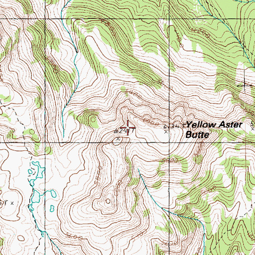 Topographic Map of Yellow Aster Butte, WA