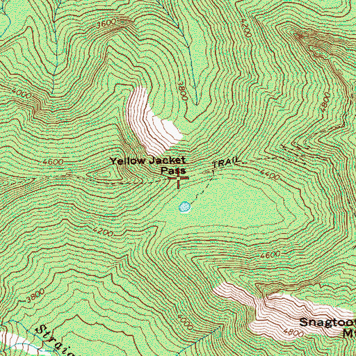 Topographic Map of Yellow Jacket Pass, WA