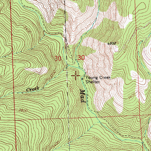 Topographic Map of Young Creek, WA