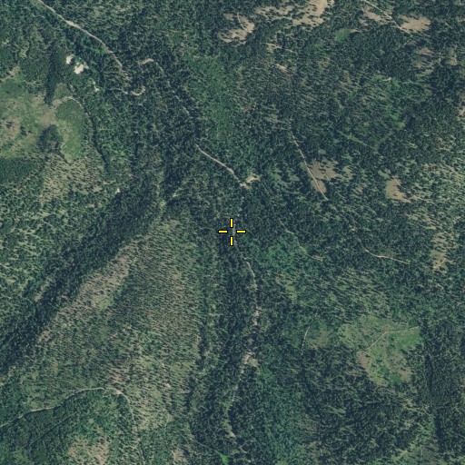 Aerial/Satellite Image of Yoyo Creek, WA