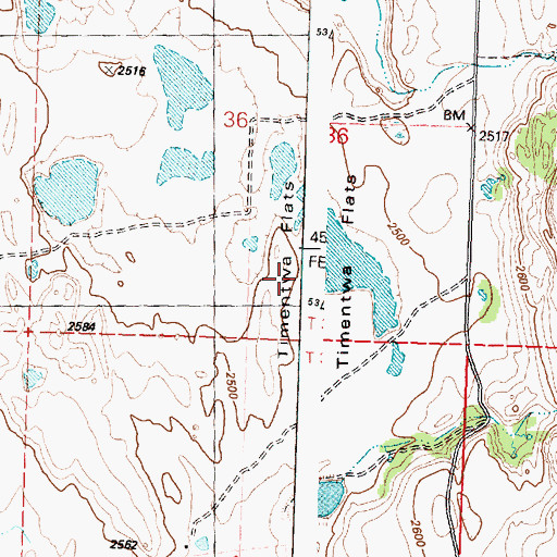 Topographic Map of Timentwa Flats, WA