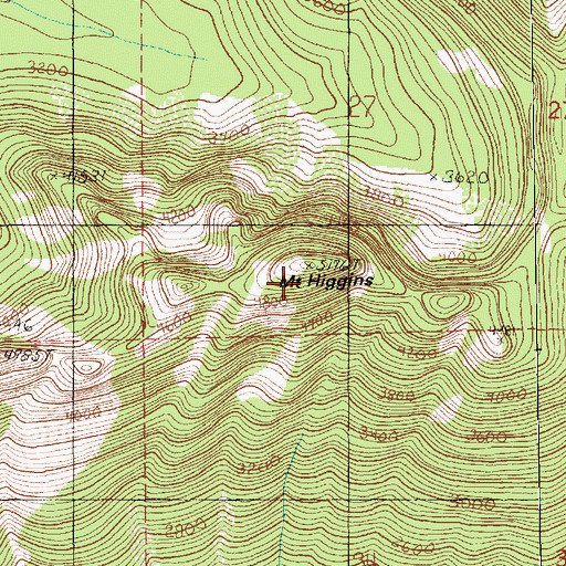 Topographic Map of Mount Higgins, WA