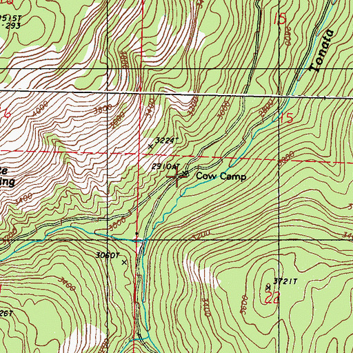 Topographic Map of Cow Camp, WA
