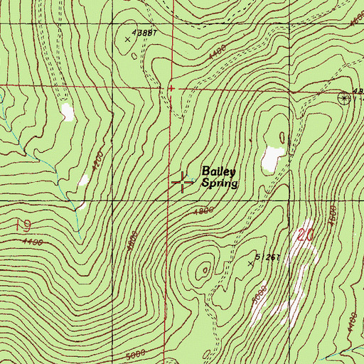 Topographic Map of Bailey Spring, WA