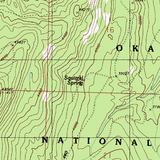 Topographic Map of Squirrel Spring, WA