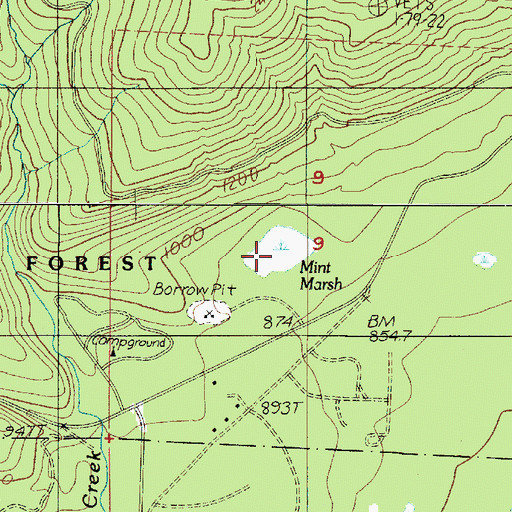 Topographic Map of Mint Marsh, WA