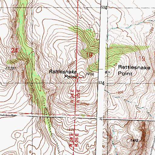 Topographic Map of Rattlesnake Point, WA