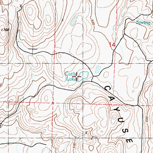 Topographic Map of Catlin Lake, WA