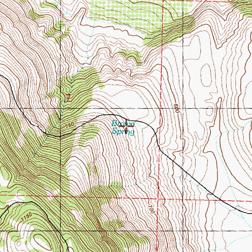 Topographic Map of Brown Spring, WA