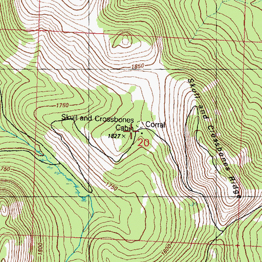 Topographic Map of Skull and Crossbones Cabin, WA