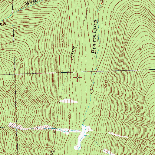 Topographic Map of Pasayten Wilderness, WA