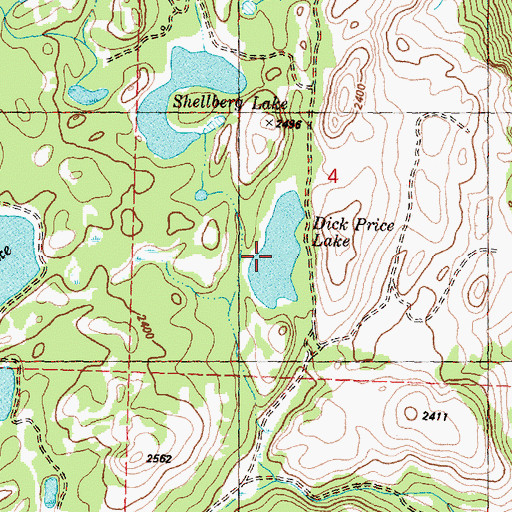 Topographic Map of Dick Price Lake, WA