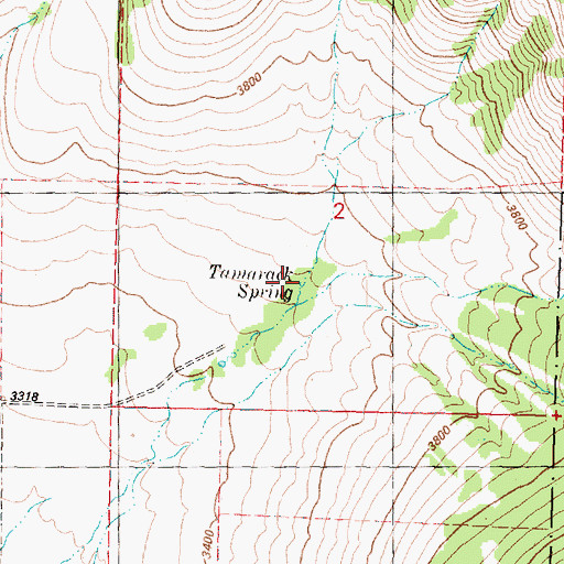 Topographic Map of Tamarack Spring, WA