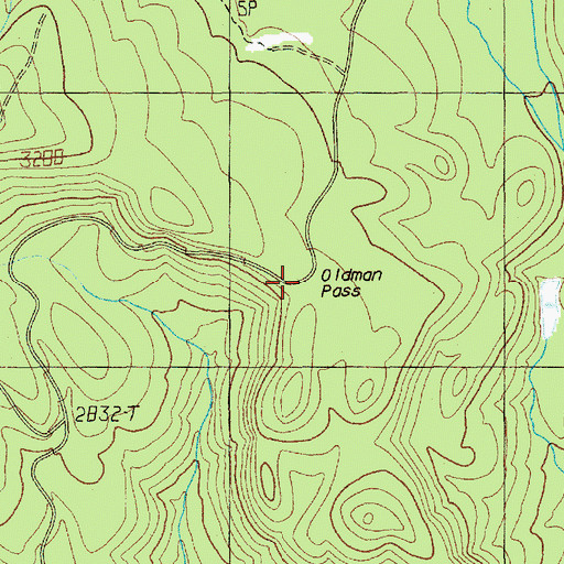 Topographic Map of Oldman Pass, WA