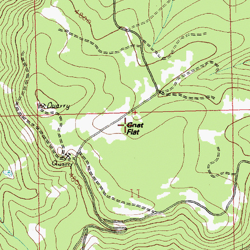 Topographic Map of Gnat Flat, WA