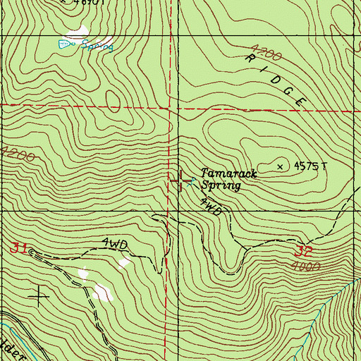 Topographic Map of Tamarack spring, WA