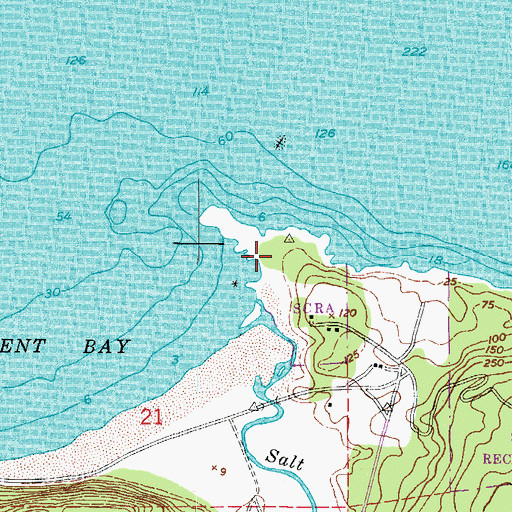 Topographic Map of Tongue Point, WA