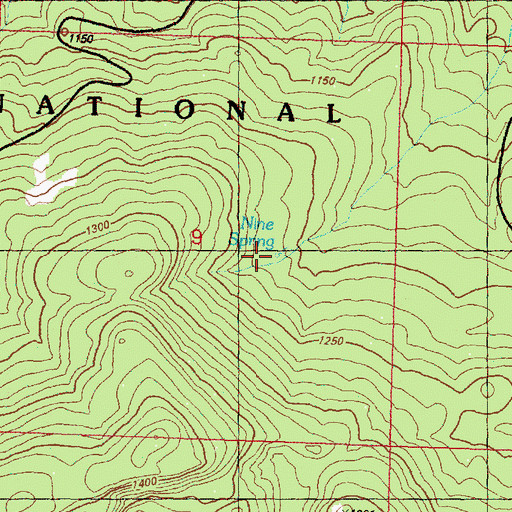Topographic Map of Nine Spring, WA