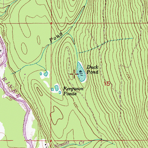 Topographic Map of Duck Pond, WA