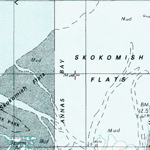 Topographic Map of Skokomish Flats, WA
