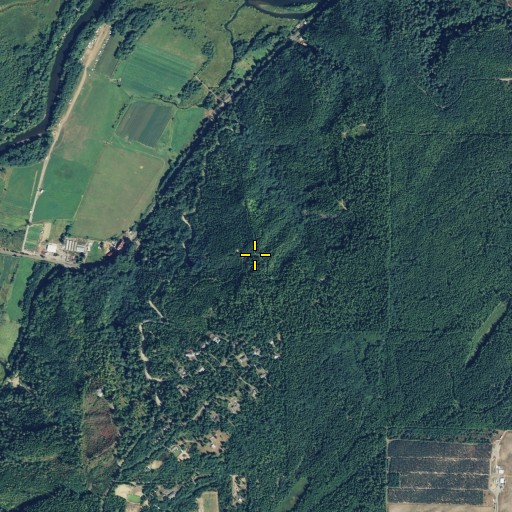 Aerial/Satellite Image of Webb Hill, WA