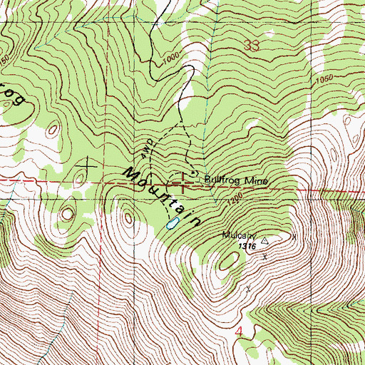 Topographic Map of Bullfrog Mine, WA