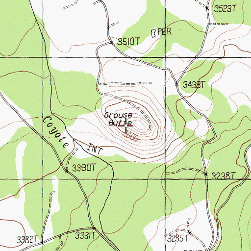 Topographic Map of Grouse Butte, WA