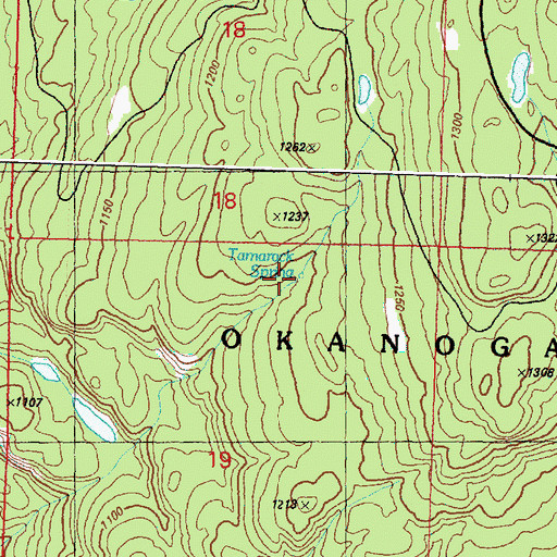 Topographic Map of Tamarack Spring, WA
