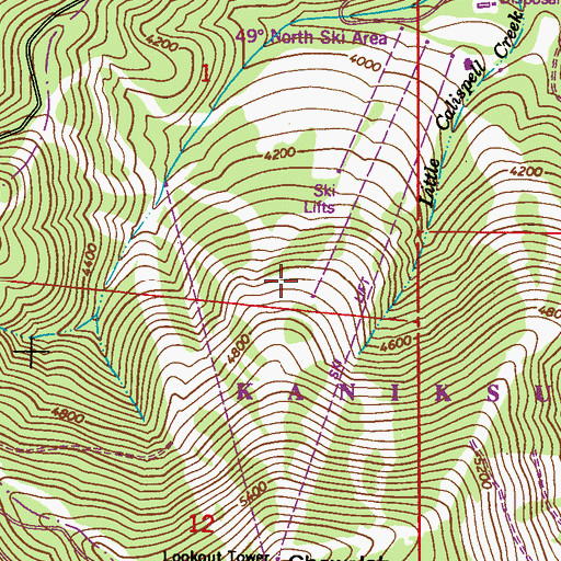 Topographic Map of Forty Nine Degrees North Ski Area, WA