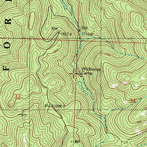Topographic Map of Wildhorse Camp, WA