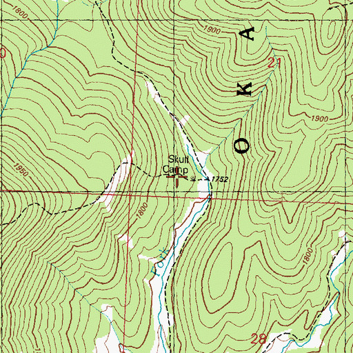 Topographic Map of Skull Camp, WA