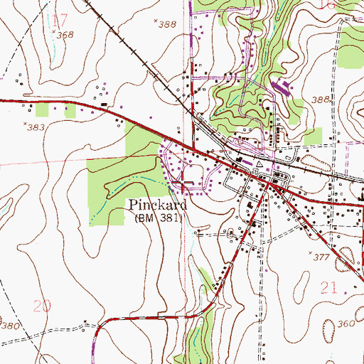 Topographic Map of Pinckard, AL
