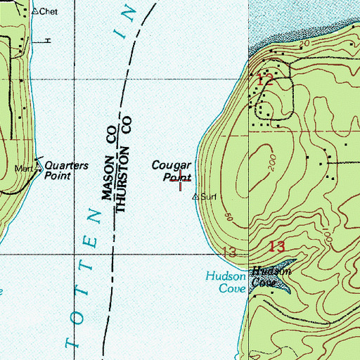 Topographic Map of Cougar Point, WA