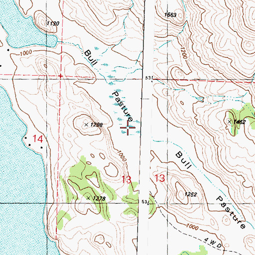 Topographic Map of Bull Pasture, WA