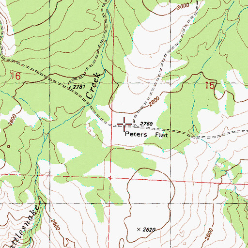 Topographic Map of Peters Flat, WA