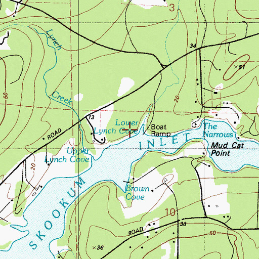 Topographic Map of Lower Lynch Cove, WA